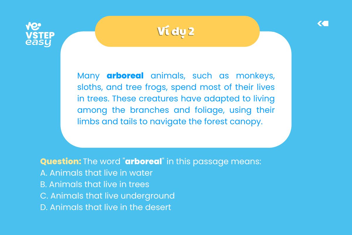 Ví dụ 2 dạng bài tìm manh mối từ ví dụ (Example clues)