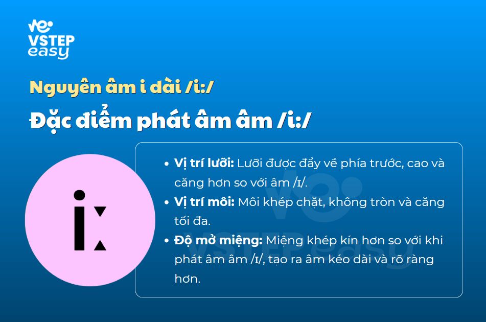 Đặc điểm phát âm của âm /i:/