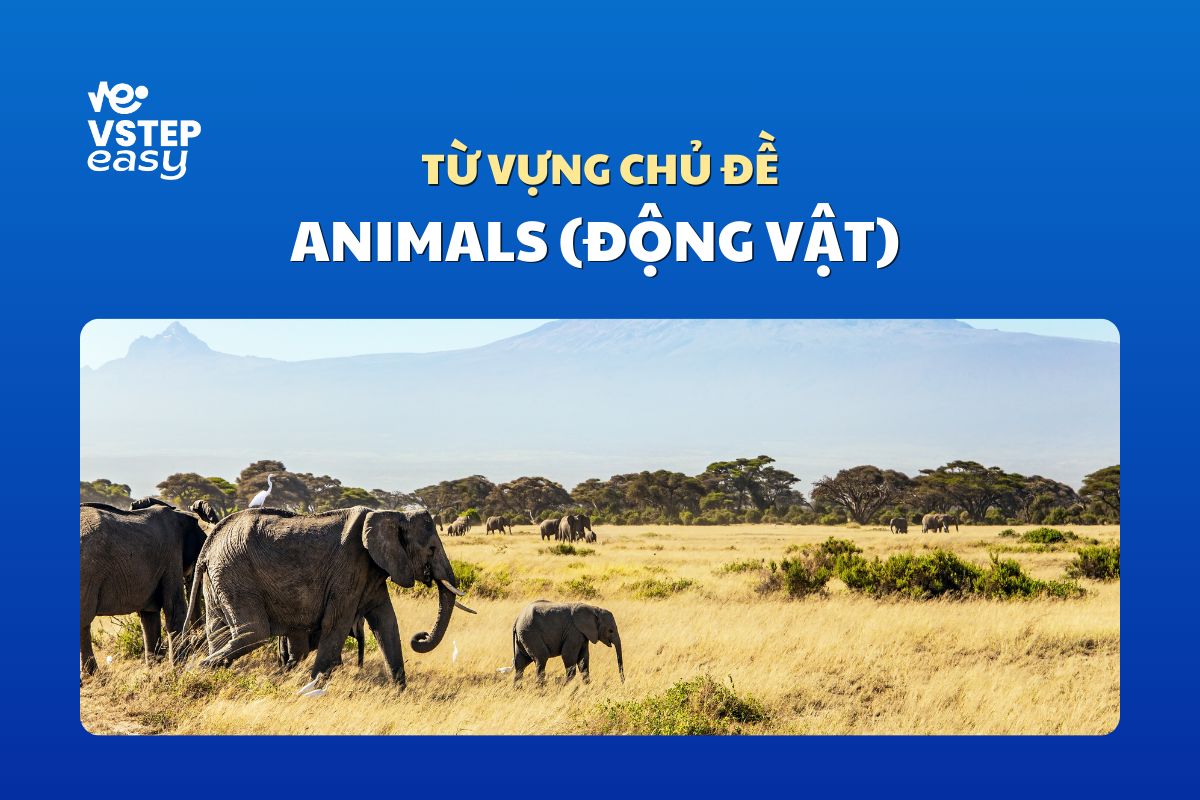Từ vựng tổng hợp chủ đề Animals (Động vật)