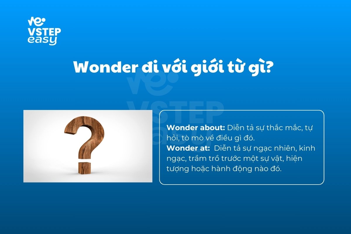 wonder-di-voi-gioi-tu-gi