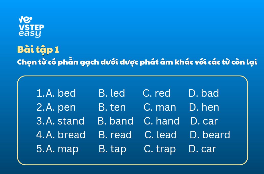 Bài tập 1