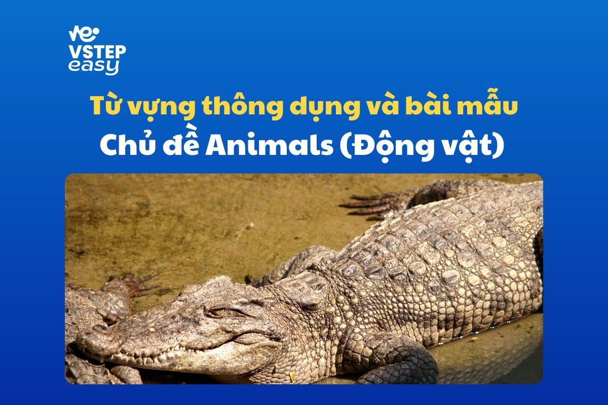Bài mẫu và từ vựng phổ biến trong đề thi VSTEP Writing chủ đề Animals