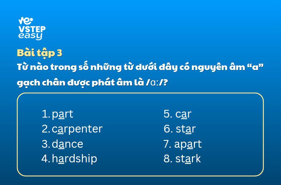 Bài tập 3