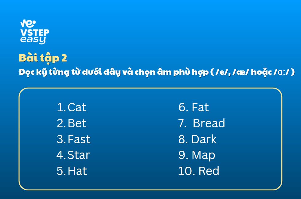 Bài tập 2