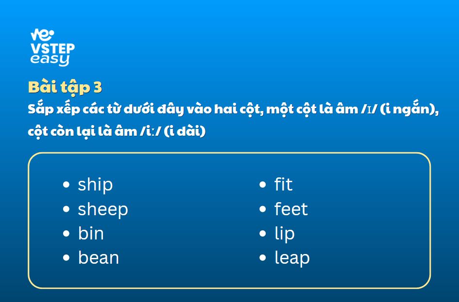 Bài tập 3
